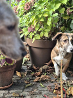 /album/10-11-2025/afbeelding-van-whatsapp-op-2025-09-27-om-18-54-22-0b6e8177-jpg/